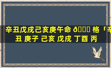 辛丑戊戌己亥庚午命 🐕 格「辛丑 庚子 己亥 戊戌 丁酉 丙申」